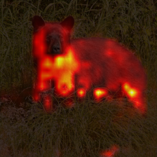 1481_9_attn.png