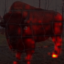 1482_5_attn.png
