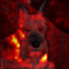 1484_1_attn.png