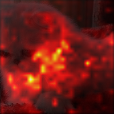 1484_5_attn.png