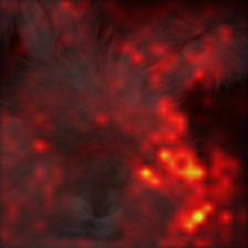 1484_6_attn.png