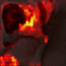 1484_8_attn.png