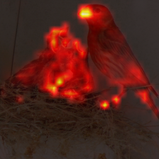 1566_0_attn.png