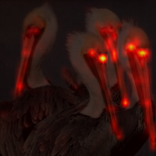 1566_1_attn.png