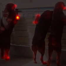 1566_2_attn.png