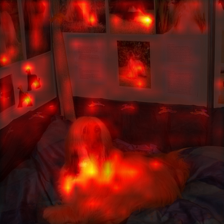 15_5_attn.png