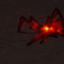 1676_2_attn.png