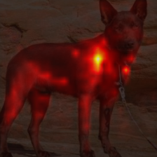 1676_6_attn.png