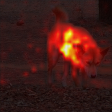 1676_8_attn.png