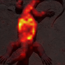 1678_1_attn.png