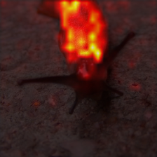 1678_5_attn.png