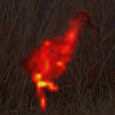 1678_6_attn.png