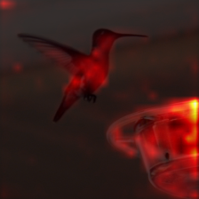 1679_3_attn.png