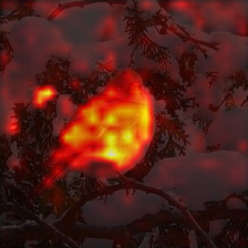 1680_1_attn.png