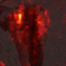 1680_8_attn.png