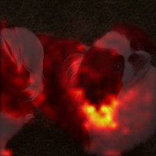 1681_6_attn.png