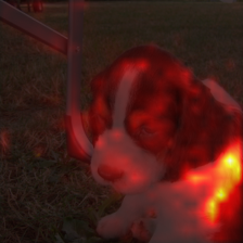 1682_3_attn.png