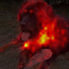 1682_6_attn.png