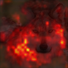 1682_9_attn.png