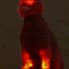 1683_4_attn.png