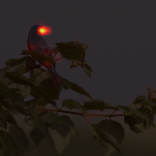 1683_6_attn.png