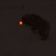 1683_7_attn.png