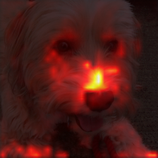 1683_8_attn.png