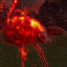 1684_0_attn.png