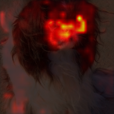 1685_1_attn.png