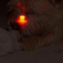 1685_2_attn.png