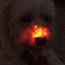 1685_3_attn.png
