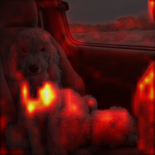 1687_0_attn.png