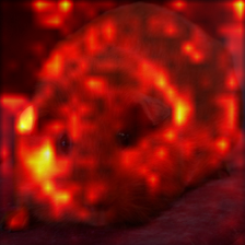 1687_5_attn.png