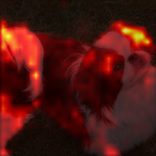 1687_7_attn.png