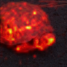 1688_0_attn.png
