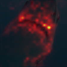 1690_0_attn.png