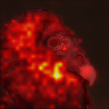 1690_4_attn.png