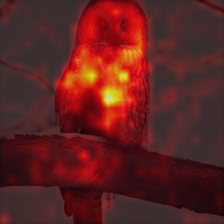1690_5_attn.png