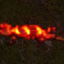 1690_6_attn.png