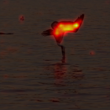 1692_5_attn.png