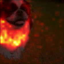 1692_6_attn.png