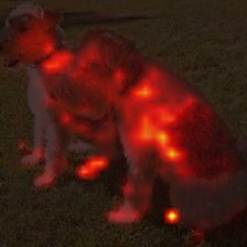 1692_7_attn.png