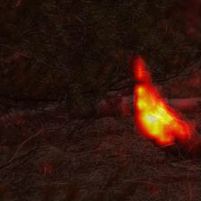 1693_6_attn.png