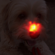 1695_2_attn.png