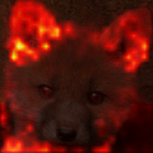 1695_7_attn.png
