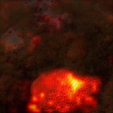 1696_8_attn.png