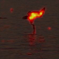1697_5_attn.png