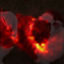 1697_6_attn.png
