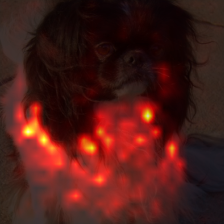 1697_7_attn.png