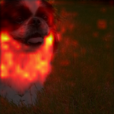 1697_8_attn.png